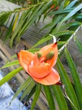 DSC01074-2